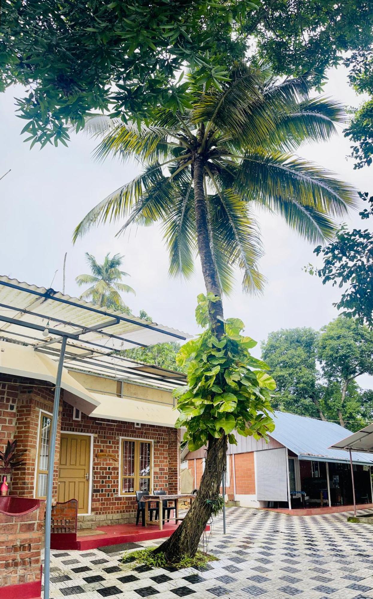 Ashtamudi Villa Kollam Exteriör bild